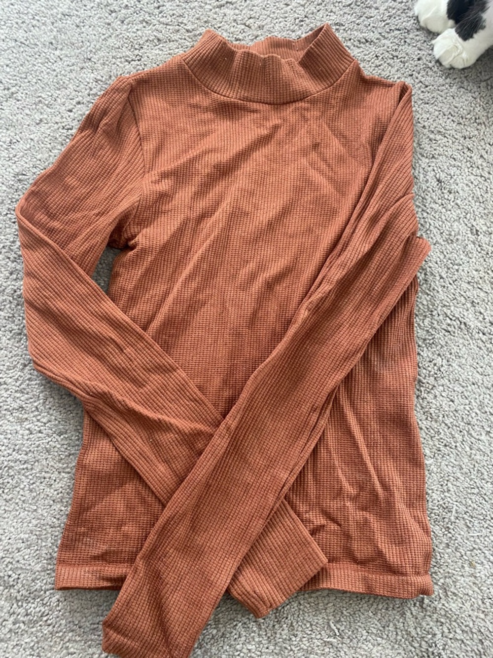 Waffle Knit Mock Neck Long Sleeve Top - Rust